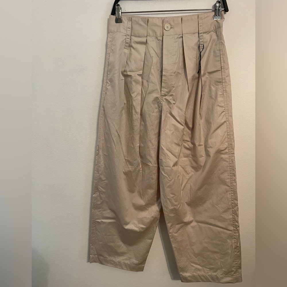 Zara Beige Pleated Pants. Size Small
